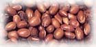virgin argan oil / organic