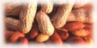 roasted virgin peanut oil