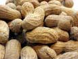 peanuts