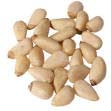 pine nut