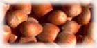 virgin Hazelnut oil